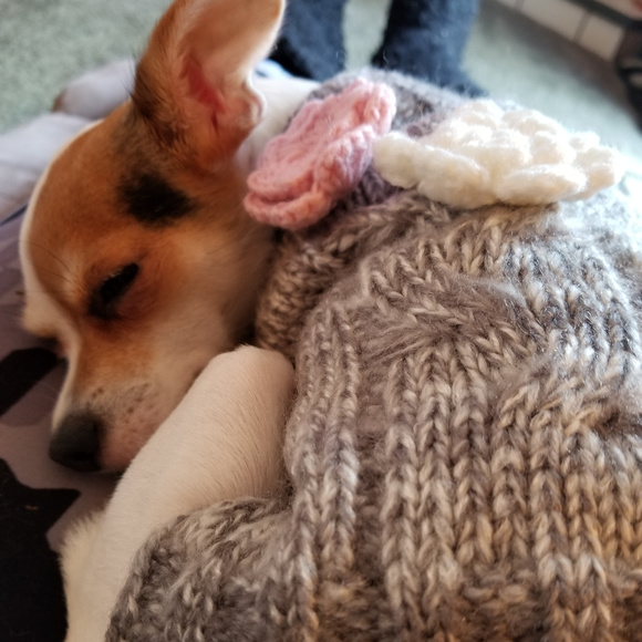 Meet your Posher, Darinda - Picture 3 of 8